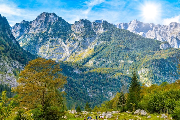 Alpen Berge mit Wald bedeckt Königssee Königssee Nationalpark Berchtesgaden Bayern Deutschland