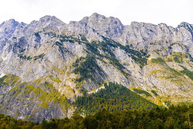 Alpen Berge mit Wald bedeckt Königssee Königssee Nationalpark Berchtesgaden Bayern Deutschland