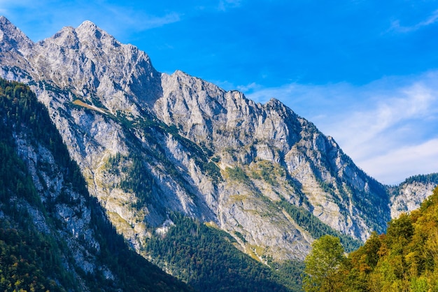 Alpen Berge mit Wald bedeckt Königssee Königssee Nationalpark Berchtesgaden Bayern Deutschland
