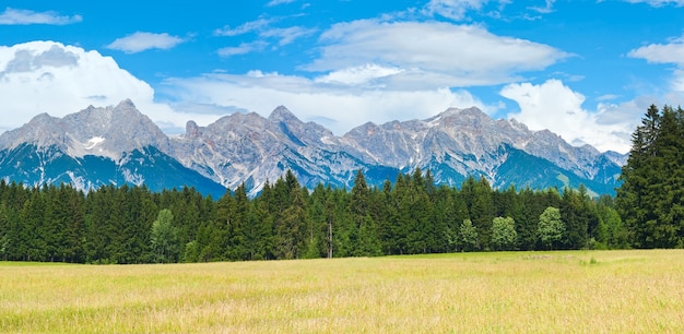 Alpengebirgswiese ruhiges Sommerpanorama (Österreich, Gosau-Dorfrand). Zwei Schüsse zusammengesetztes Bild.