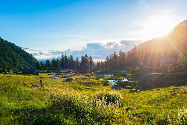 Alpenlandschaft, Gebirgsbach in idyllischer Umgebung bei Sonnenaufgang, die italienischen Alpen.