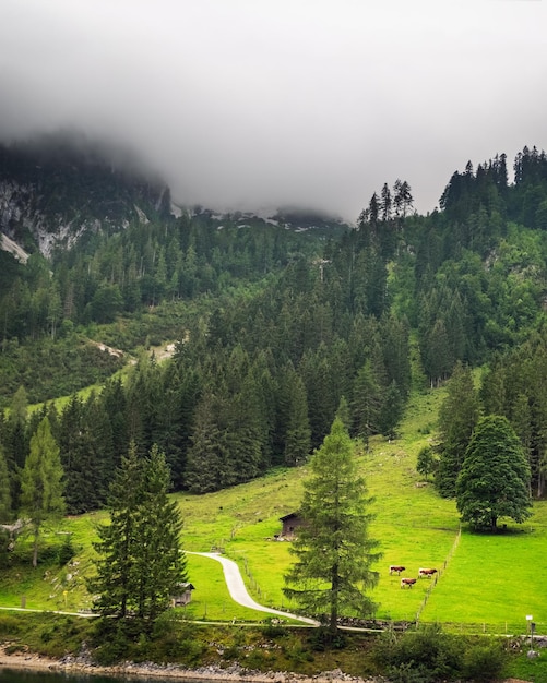Alpes austríacos com a paisagem do famoso lago Gosauseen ou Vorderer Gosausee, na Áustria, na Europa