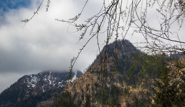 Alpes austríacos na primavera