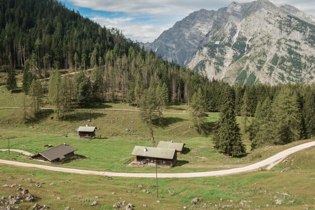 Alpes das montanhas do prado da floresta das cabines