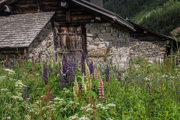 Alpes franceses paisagem