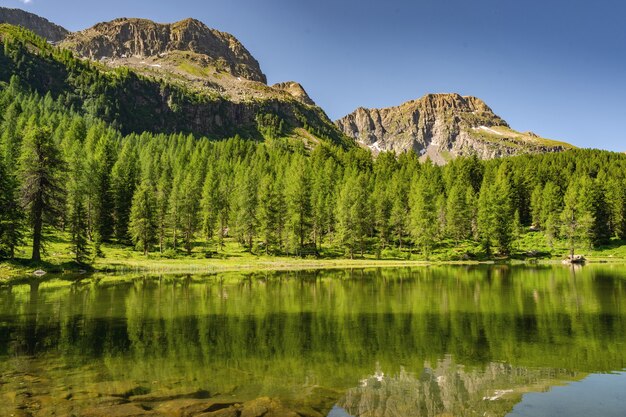 Alpes idílicos con bosque verde, lago y montaña