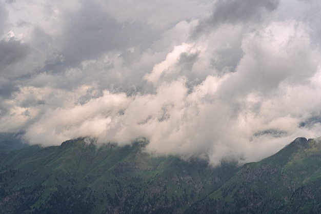 Alpes idílicos com floresta verde na colina da montanha