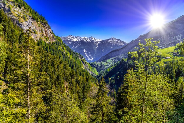 Foto alpes montañas cubiertas de bosques de pinos leukerbad leuk visp