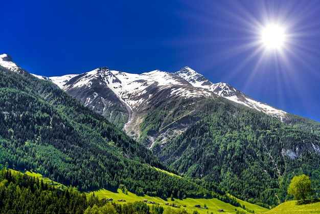 Alpes montanhas cobertas de floresta Fiesch Goms Wallis Valais