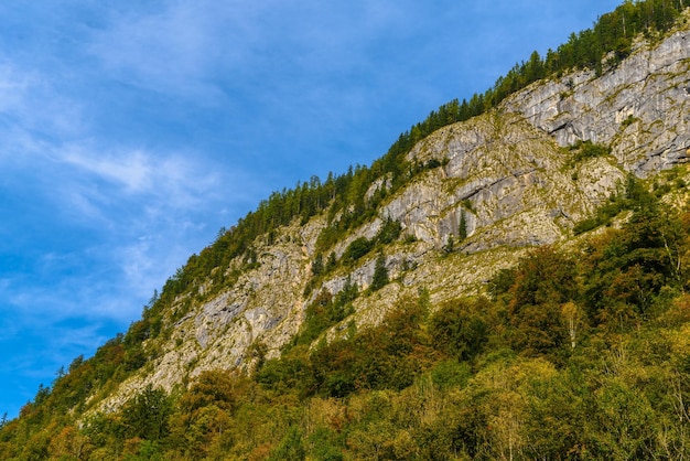 Alpes montanhas cobertas de floresta Koenigssee Konigsee Berchtesgaden National Park Baviera Alemanha
