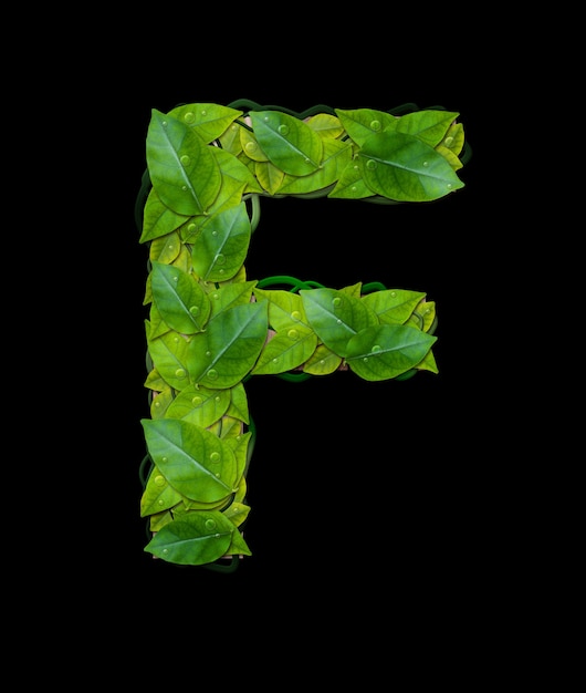Alphabet Buchstaben aus Blättern