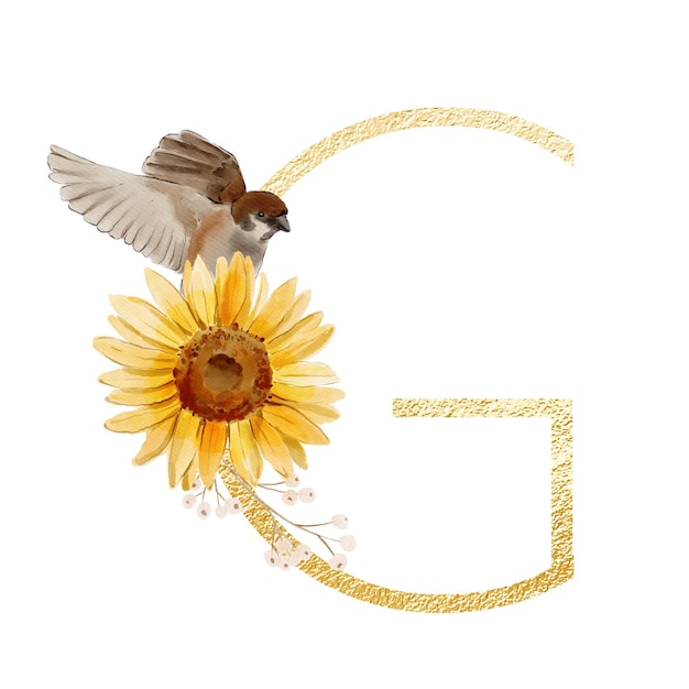 Alphabet verziert mit Sonnenblumen und Blättern ABC-Buchstabe G