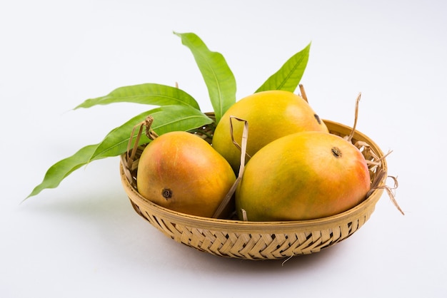 Alphonso Mango o Hapoos Aam es una fruta de temporada y jugosa de la India conocida por su dulzura, riqueza y sabor. Sobre fondo de colores. Enfoque selectivo