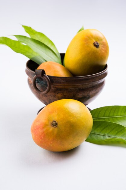 Alphonso Mango oder Hapoos Aam ist eine saisonale und saftige Frucht aus Indien, die für ihre Süße, Fülle und ihren Geschmack bekannt ist. Über buntem Hintergrund. Selektiver Fokus