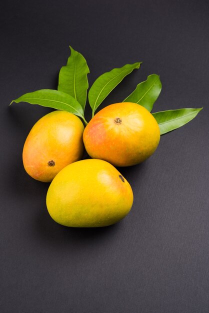 Alphonso Mango ou Hapoos Aam é uma fruta sazonal e suculenta da Índia conhecida por sua doçura, riqueza e sabor. Sobre fundo colorido. Foco seletivo