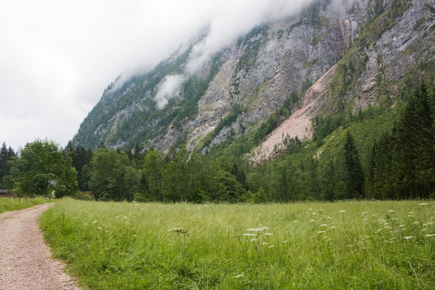 Alpine Berge und Wand aus tiefgrünem Wald. Spaziergang am Sommertag in der Stadt Hallstatt, Österreich