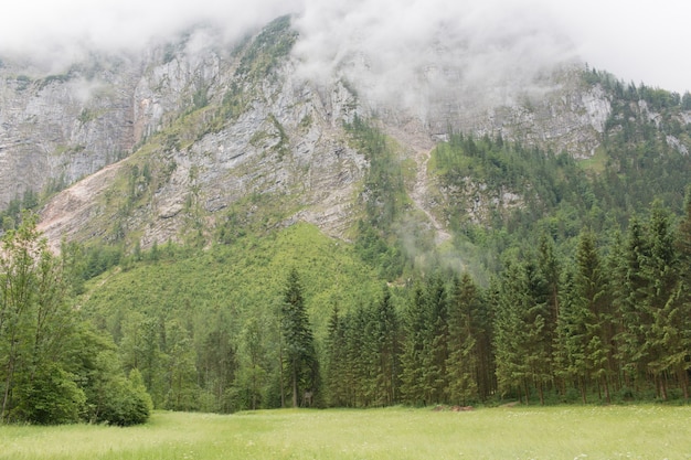 Alpine Berge und Wand aus tiefgrünem Wald. Spaziergang am Sommertag in der Stadt Hallstatt, Österreich