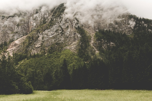 Alpine Berge und Wand aus tiefgrünem Wald. Spaziergang am Sommertag in der Stadt Hallstatt, Österreich