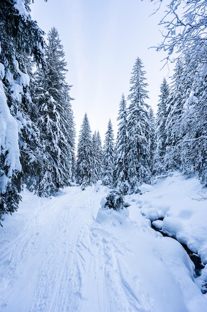Alpine Berglandschaft mit weißem Schnee und blauem Himmel Sonnenuntergang Winter in der Natur Frostige Bäume unter warmem Sonnenlicht Wunderbare Winterlandschaft