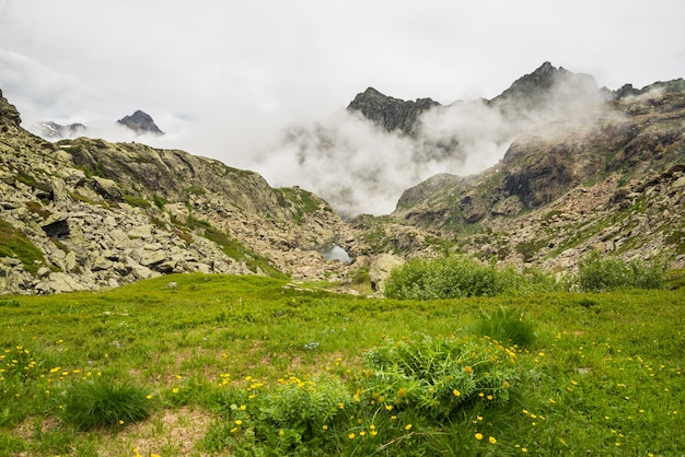 Alpine Landschaft