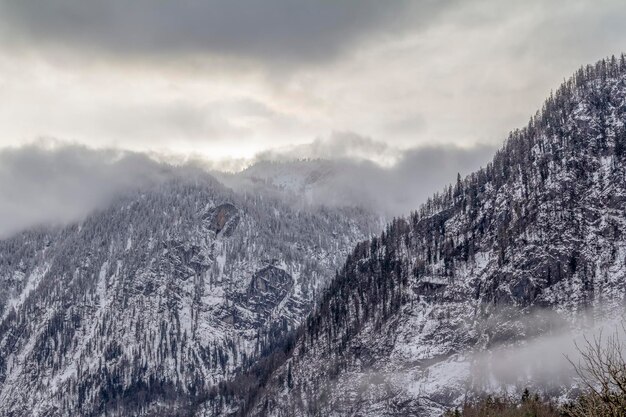 alpine Landschaft