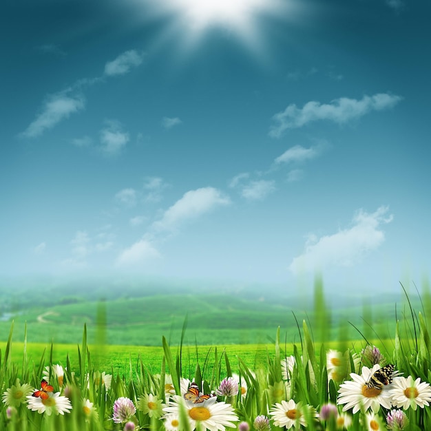Alpine pastorale Landschaft mit schönen Gänseblümchenblumen unter heller Sommersonne