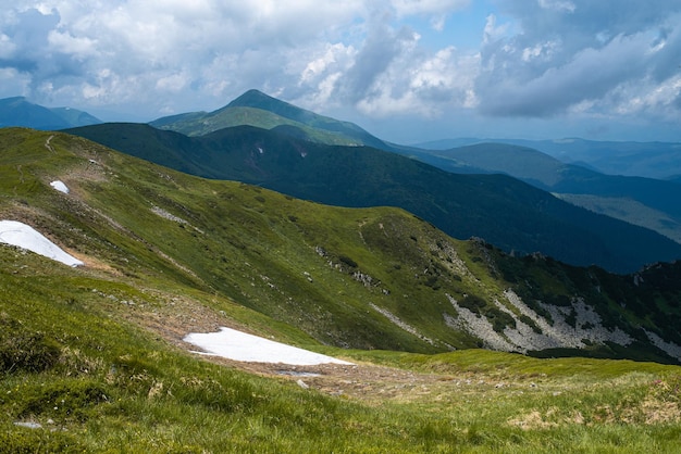 Alpine wiesenlandschaft im sommer