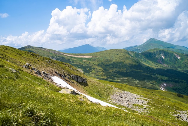 Alpine Wiesenlandschaft im Sommer