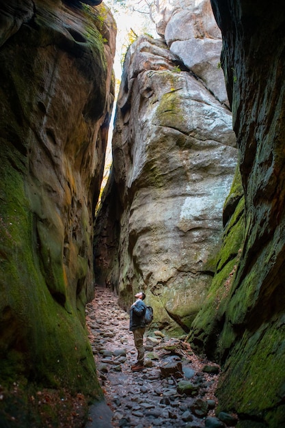 Alpinista de homem com mochila no canyon com floresta