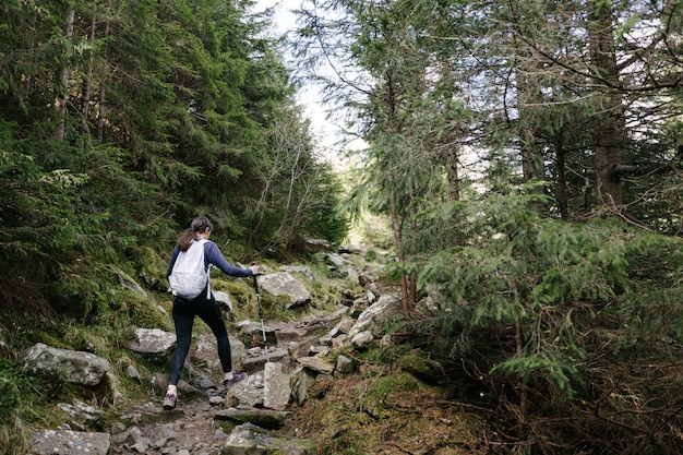 Alpinista de mulher, caminhadas nas montanhas no verão até o cume ucraniano mais alto Marmarosy, perto da Romênia.