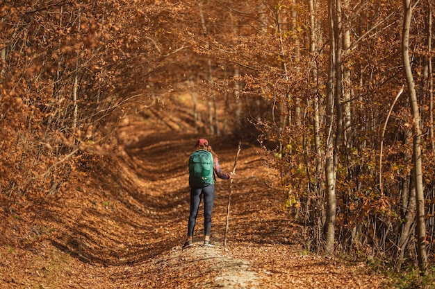 Alpinista feminina na estrada rural perto da floresta de montanha