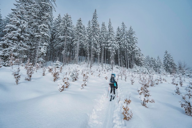 Alpinista sertão esqui andando alpinista nas montanhas Esqui de turismo na paisagem alpina com árvores nevadas Esporte de inverno de aventura