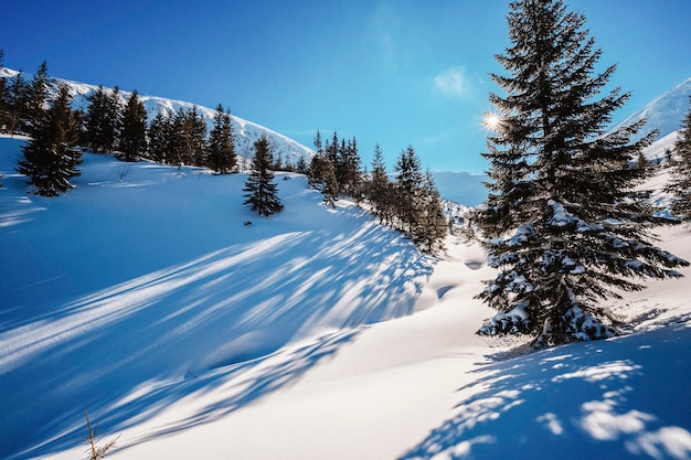 Alpinista sertão esqui andando alpinista nas montanhas Esqui de turismo na paisagem alpina com árvores nevadas Esporte de inverno de aventura