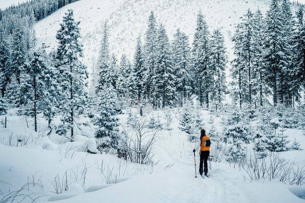 Alpinista sertão esqui andando alpinista nas montanhas Esqui de turismo na paisagem alpina com árvores nevadas Esporte de inverno de aventura