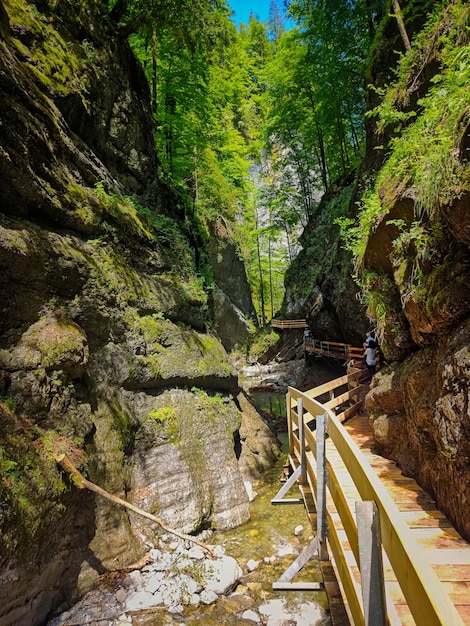 Alploch-Schlucht in den österreichischen Alpen