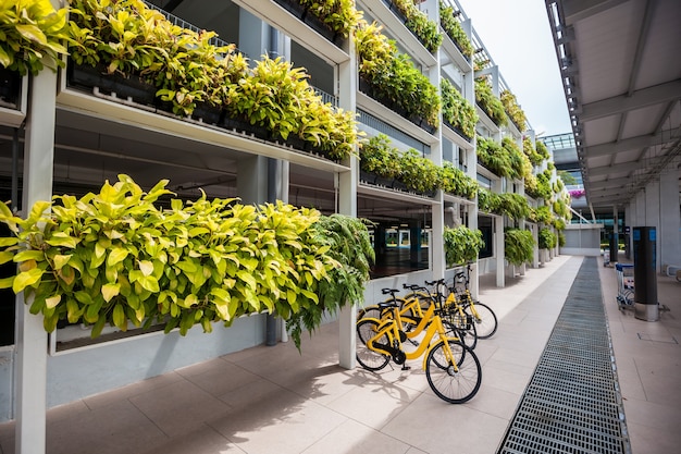 Foto alquiler de bicicletas amarillas en singapur