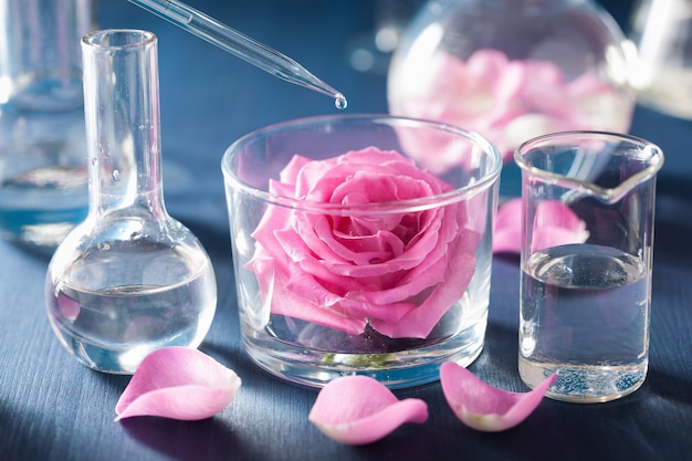 Alquimia y aromaterapia con rosas y matraces químicos