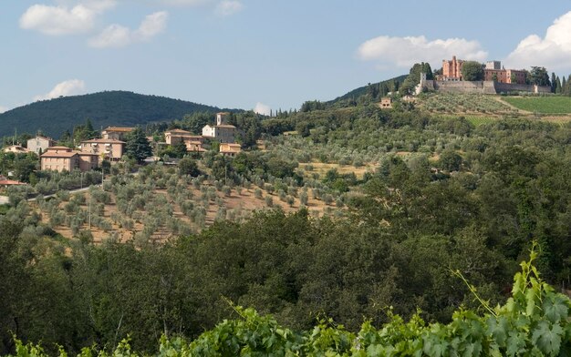 alrededor del castillo de Brolio en Chianti