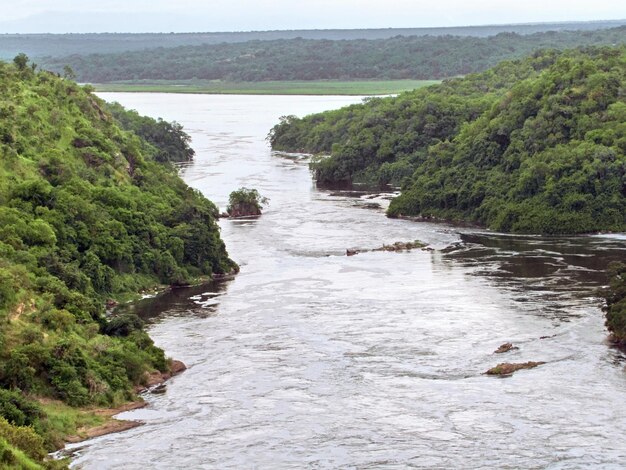 Foto alrededor de las cataratas murchison en uganda