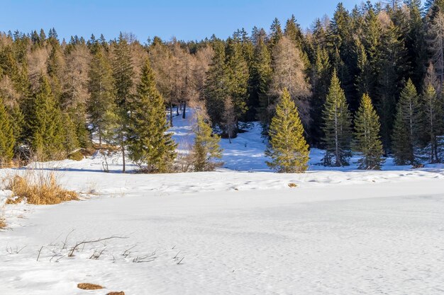 Foto alrededor de felixer weiher