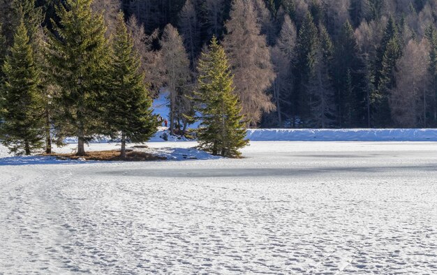 Foto alrededor de felixer weiher