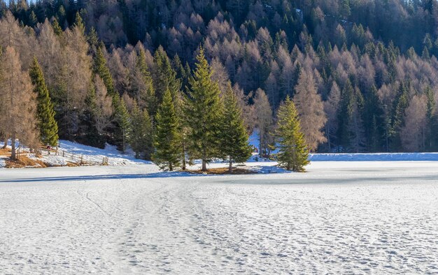 Foto alrededor de felixer weiher