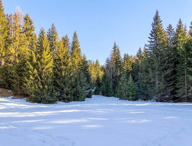 Foto alrededor de felixer weiher