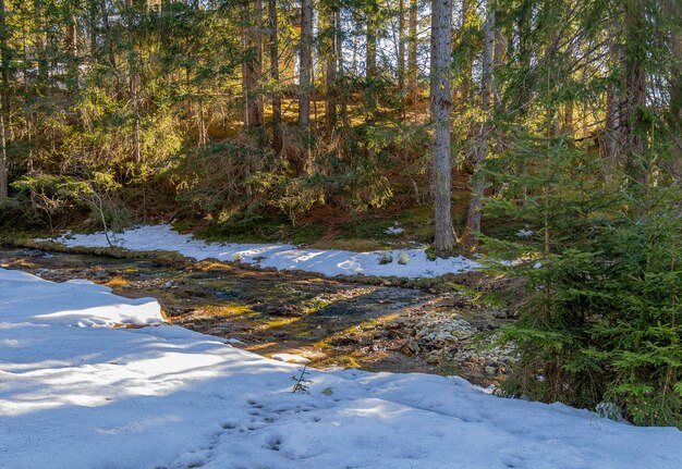 Foto alrededor de felixer weiher