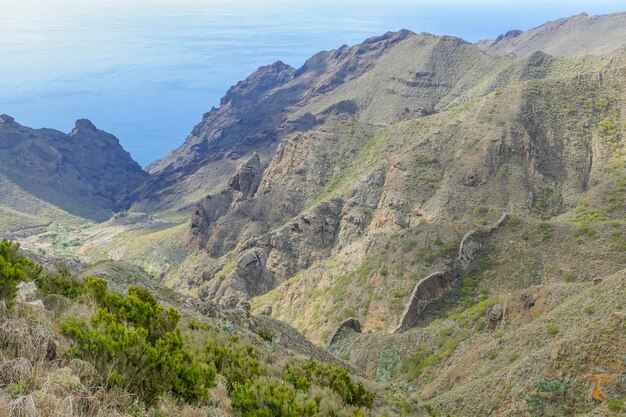 Foto alrededor de masca y teno en tenerife