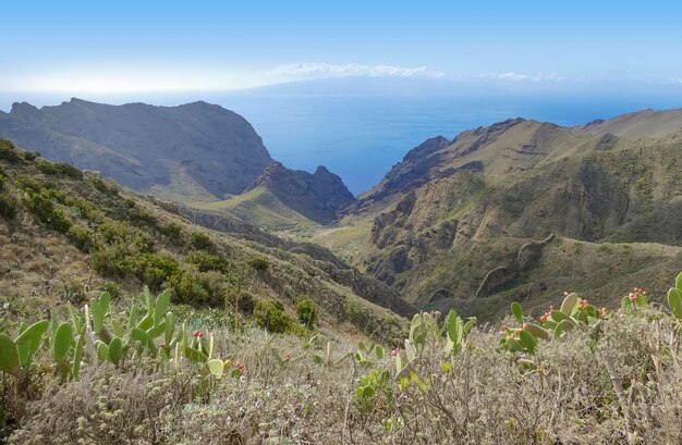 Foto alrededor de masca y teno en tenerife