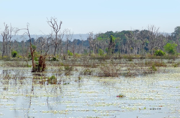 alrededor de Neak Pean en Angkor