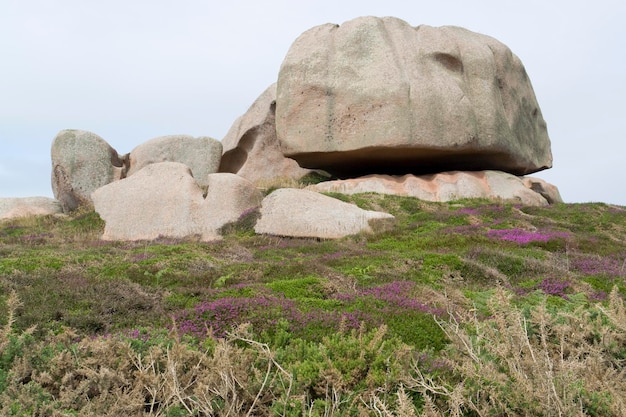 alrededor de PerrosGuirec