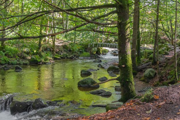 alrededor del río Vologne