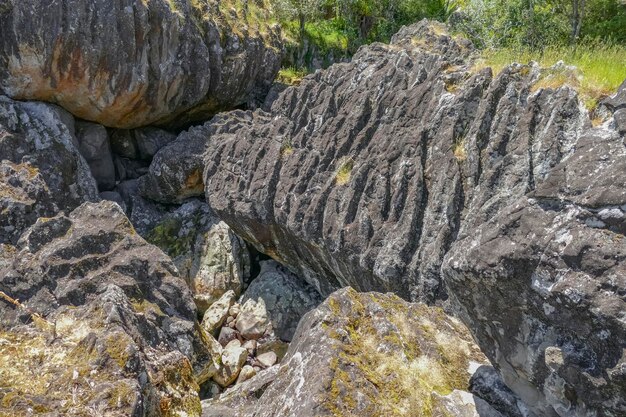 Alrededor de las rocas Wairere en Nueva Zelanda